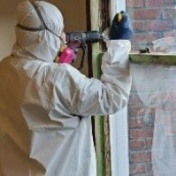 Lead Paint Removal